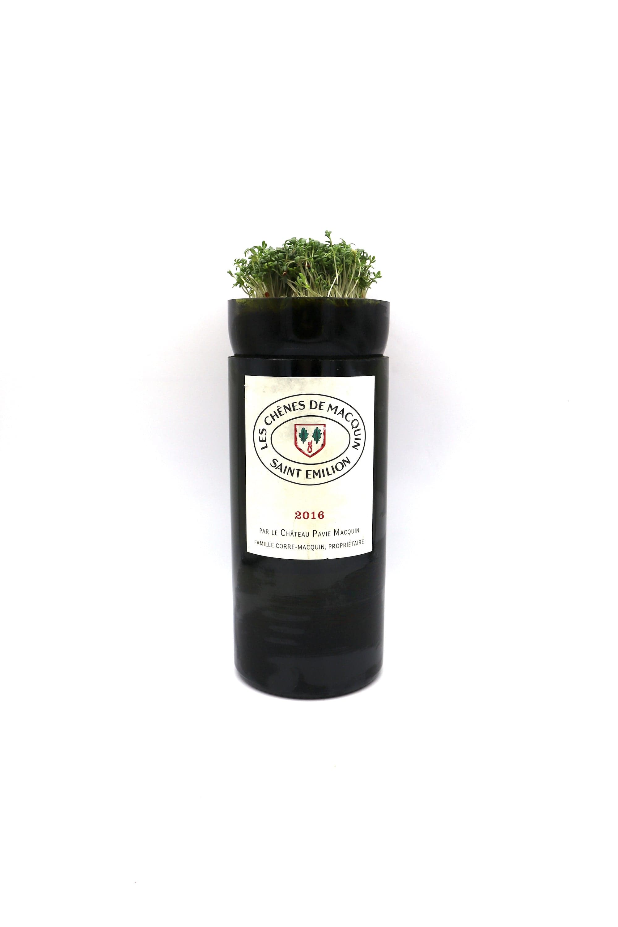 rePlant Setzling-Set