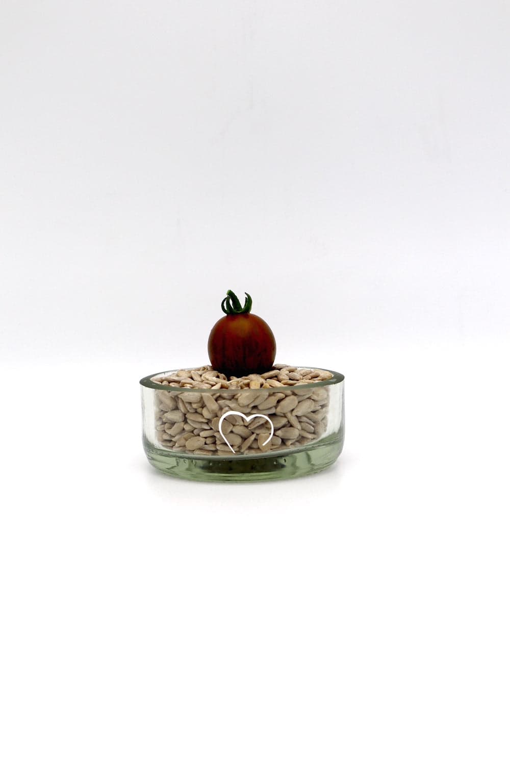 rePlate Schale