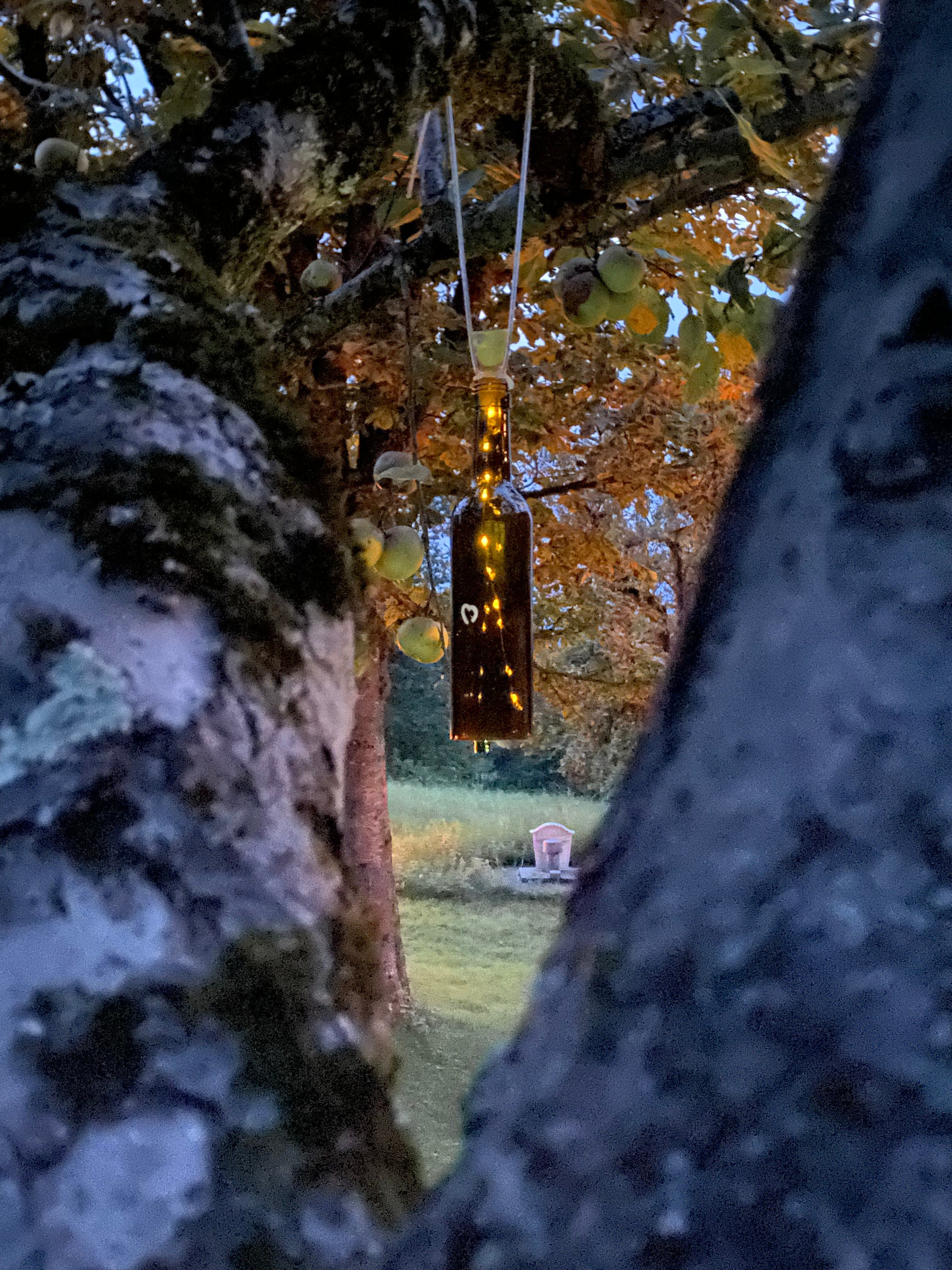 reLight Solarlampe, Ansicht 3